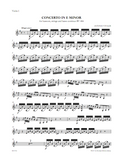 VIVALDI, A. - Concerto in E minor RV 484 (digital edition)