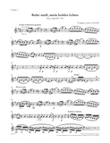 MOZART, W. - Ruhe sanft, mein holdes Leben (digital edition)