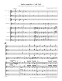 MOZART, W. - Vado, ma dove? oh Dei! (digital edition)