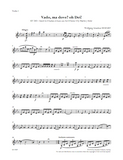MOZART, W. - Vado, ma dove? oh Dei! (digital edition)