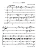MOZART, W. - Voi avete un cor fedele (digital edition)